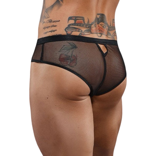 REGNES - REIZAN BRIEFS