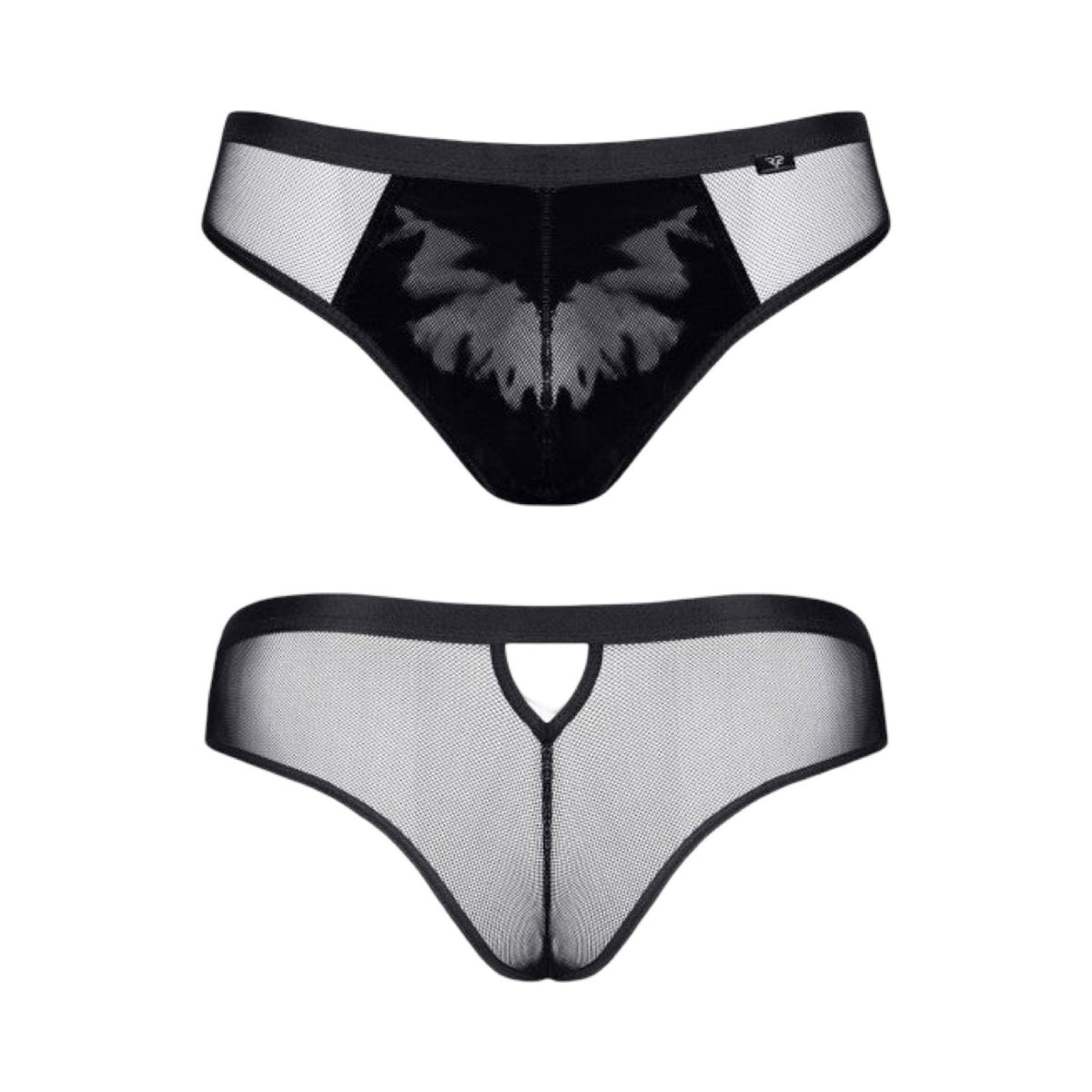 REGNES - REIZAN BRIEFS