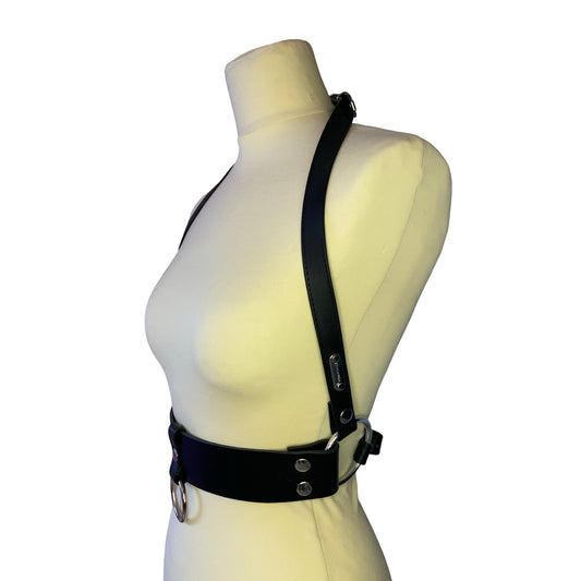SINESTESIA - DRAGON HARNESS